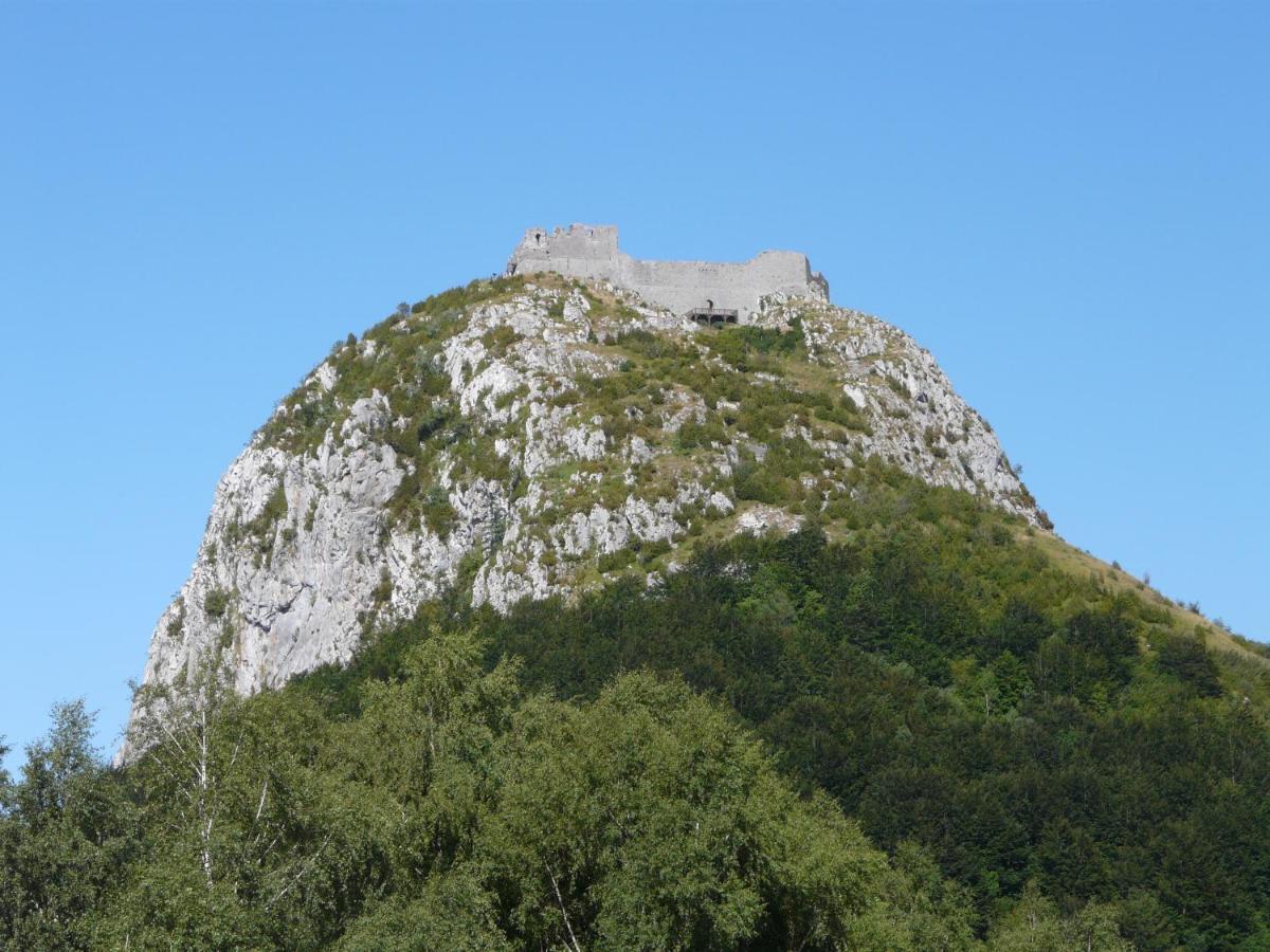 Gites Et Roulottes Au Domaine De La Trille Sainte-Foi Eksteriør billede